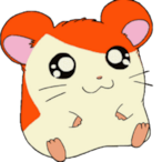 Gragas.'s Avatar'