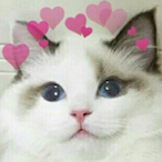 meeoow.'s Avatar'