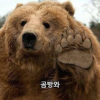 ang_ry_bear's Avatar'