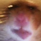 Just_Samet's Avatar'