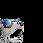 m_grizzly01's Avatar'