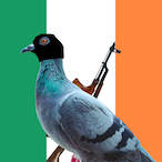 PrivatePigeon1's Avatar'