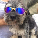DINGULBELL's Avatar'