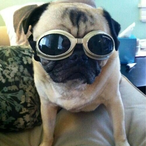 Jashacake26's Avatar'