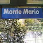 MonteMario.exe's Avatar'