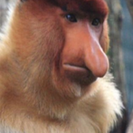 skeptical.mp3's Avatar'