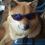 That0neSteve's Avatar'