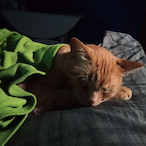 kittykoolkayla's Avatar'