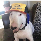 natezxl's Avatar'