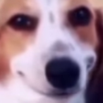 H2OGodSama's Avatar'