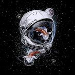 null_cosmo's Avatar'