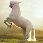 TheseGiraffes's Avatar'
