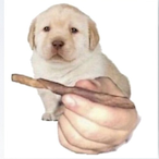 Boofis420's Avatar'