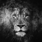 be.Genius's Avatar'