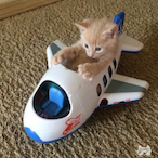 ChaIllI MEEE's Avatar'