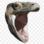 CallMeCooper's Avatar'