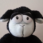 muetzi77's Avatar'