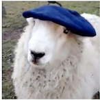 DAAN_10_'s Avatar'