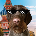 HolzigerHund's Avatar'