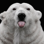 AdvisorRUS's Avatar'