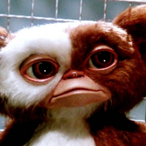 Big-Gizmo's Avatar'