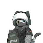 Sunr1se_SGF's Avatar'