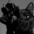 I-Josvke-I-'s Avatar'