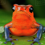idkRevilo's Avatar'
