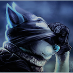 Jackelthewolf's Avatar'