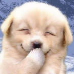 SAYHELLO14's Avatar'