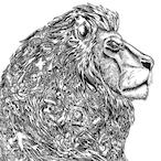 Kailak.'s Avatar'