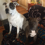 ScmmedAcc1's Avatar'