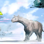 Combat Dodo 114's Avatar'
