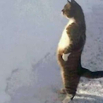 QuarterGramDab's Avatar'