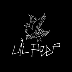 vFehrmi's Avatar'