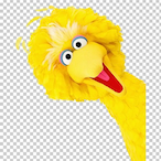 PhoenixOTZenith's Avatar'