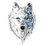 Wit_Gotcha's Avatar'