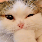 killdbymarly's Avatar'