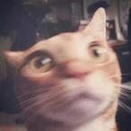 AnxiousH's Avatar'