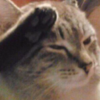 yahujew69420's Avatar'