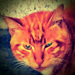 UnrulyWorld's Avatar'