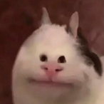 akjwnb's Avatar'