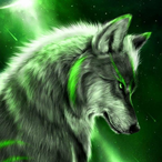 JuniperWolf's Avatar'