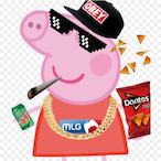 PUFILUFI21.TR's Avatar'