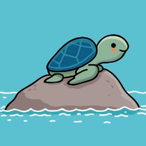 WildTurtle03's Avatar'