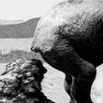 JPars_En_Impro's Avatar'