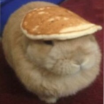 Goozmeister.CR's Avatar'