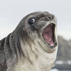 Akatsubaki_'s Avatar'