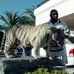 Horrible.INS's Avatar'