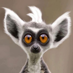 Hi_Im_Zaboo's Avatar'